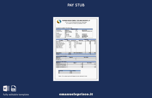 modello di busta paga di Purview India Consulting and Services in stile verifica